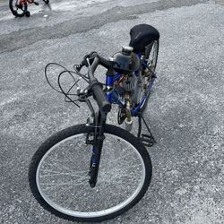 Motorized Bicycle