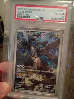 N's zekrom pokemon