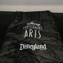 Disney Performing Arts Bag