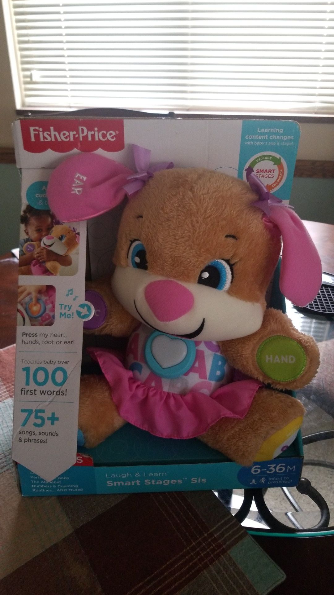 Fisher Price Learning Teddy Bear