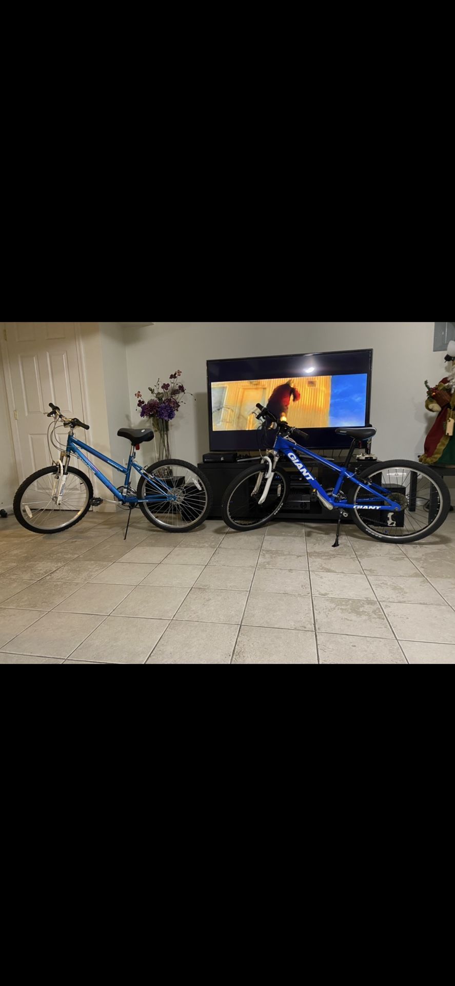 Giant Bike