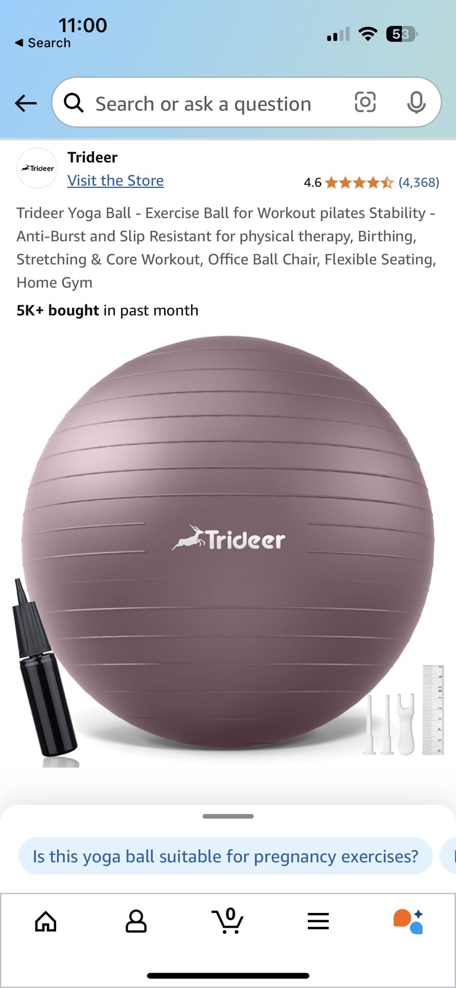 Exercise Ball