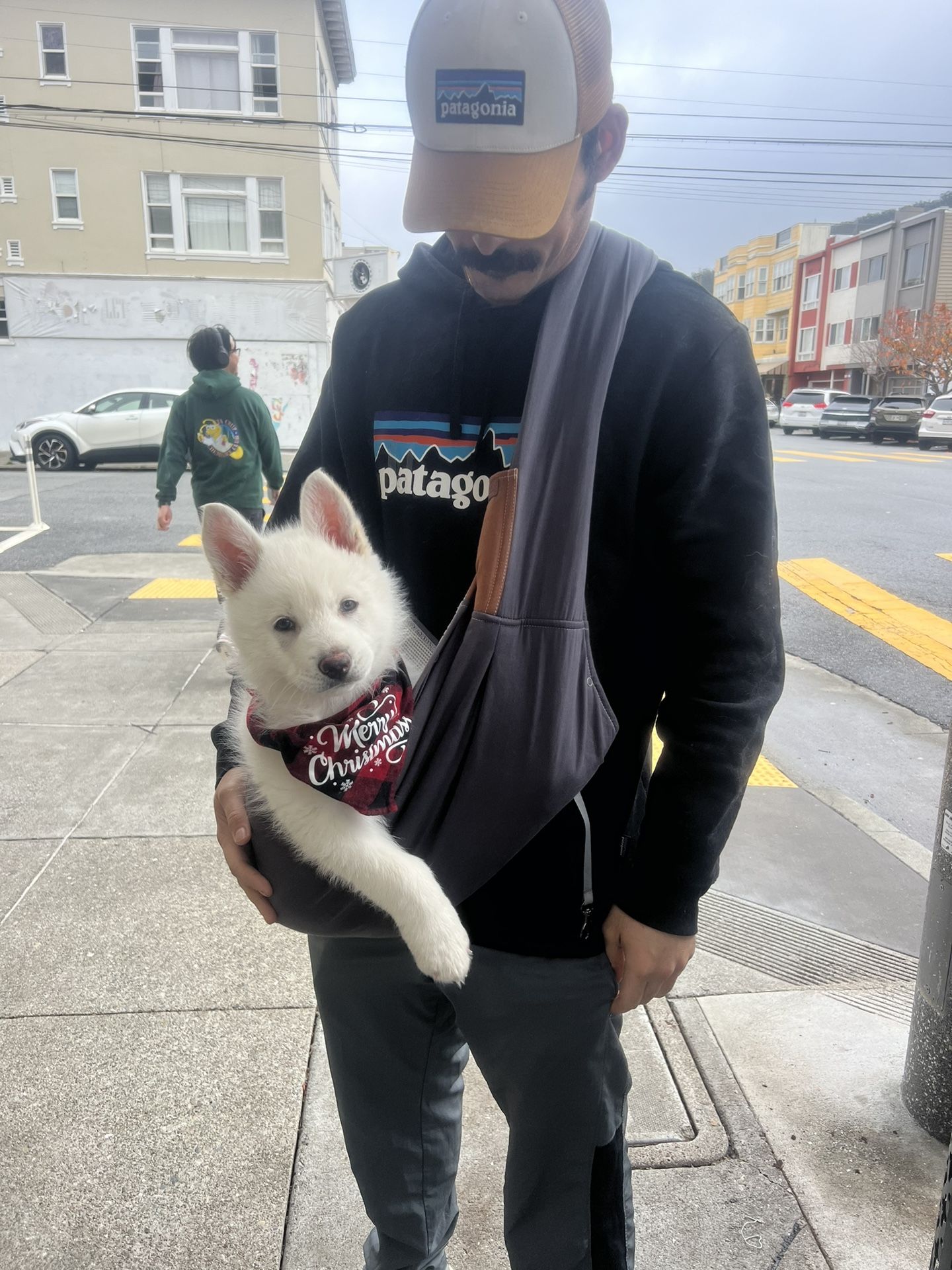 Dog Sling / Carrier