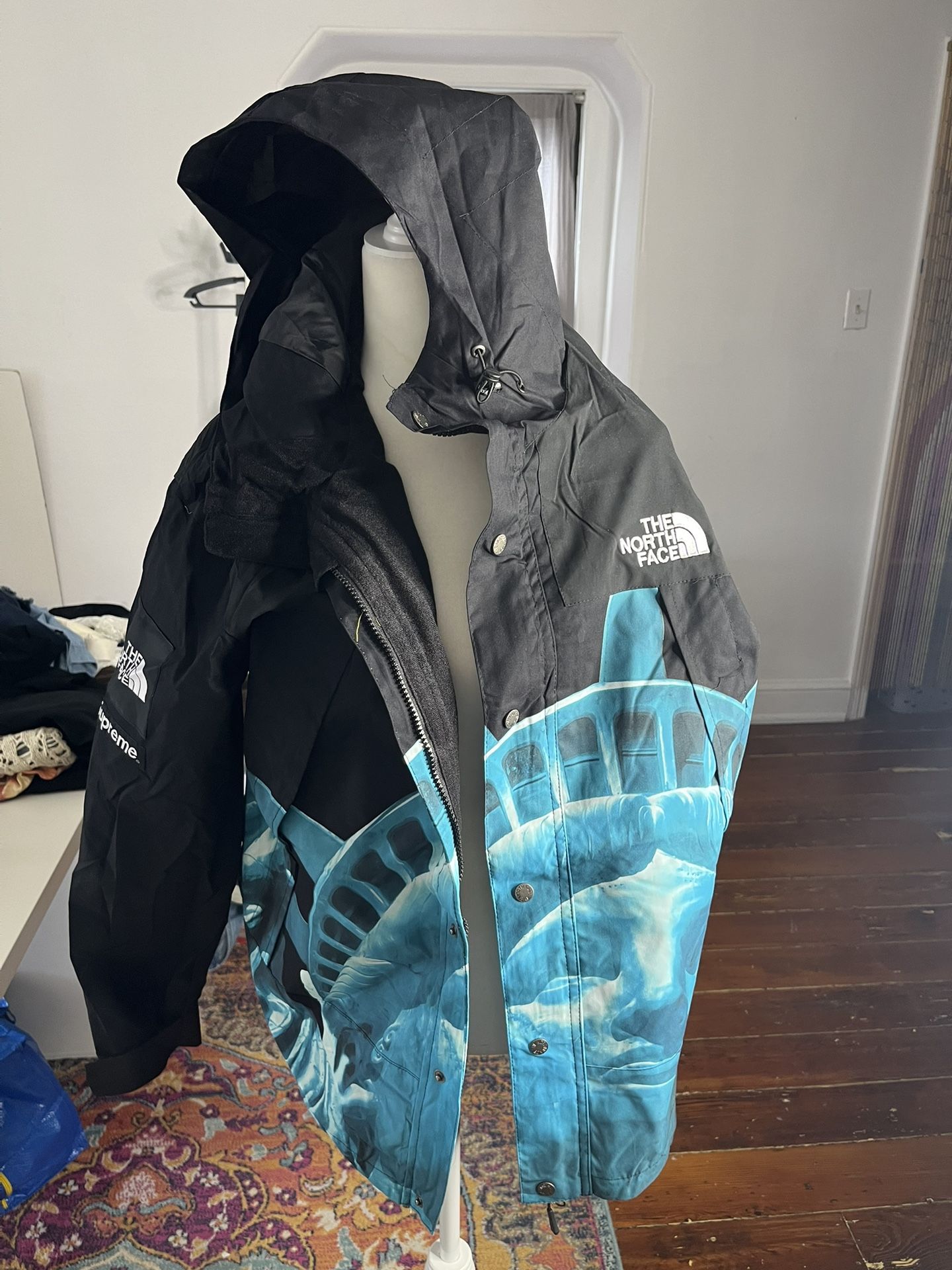 supreme northface statue of liberty mountain jacket