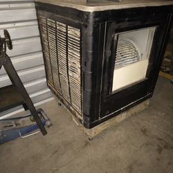 Swamp Cooler 
