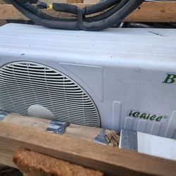 Ac Basil