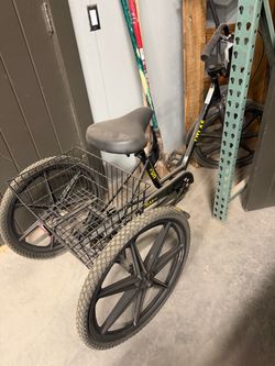 Atlas Adult Tricycle with Rear Basket
