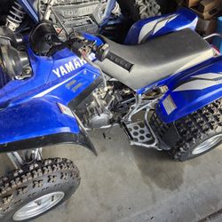 Yamaha 350 Warrior 