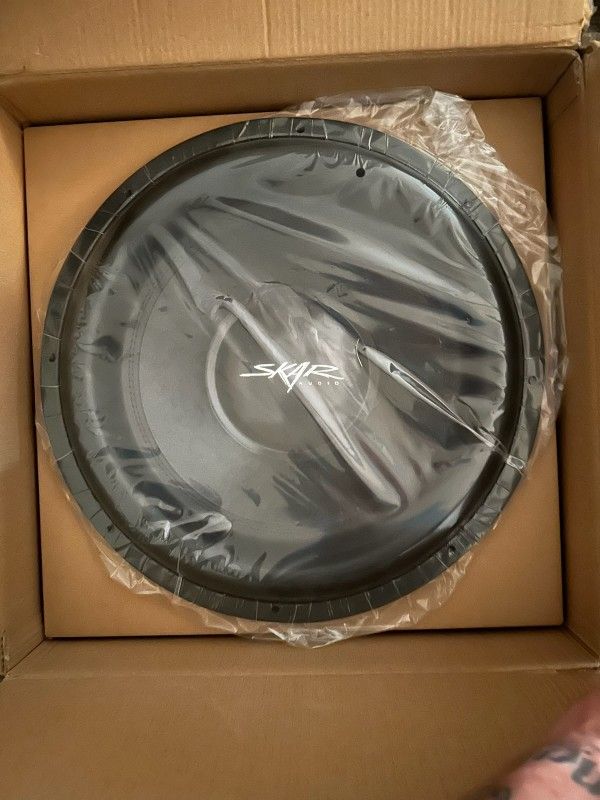18in SKAR Speaker & AMP
