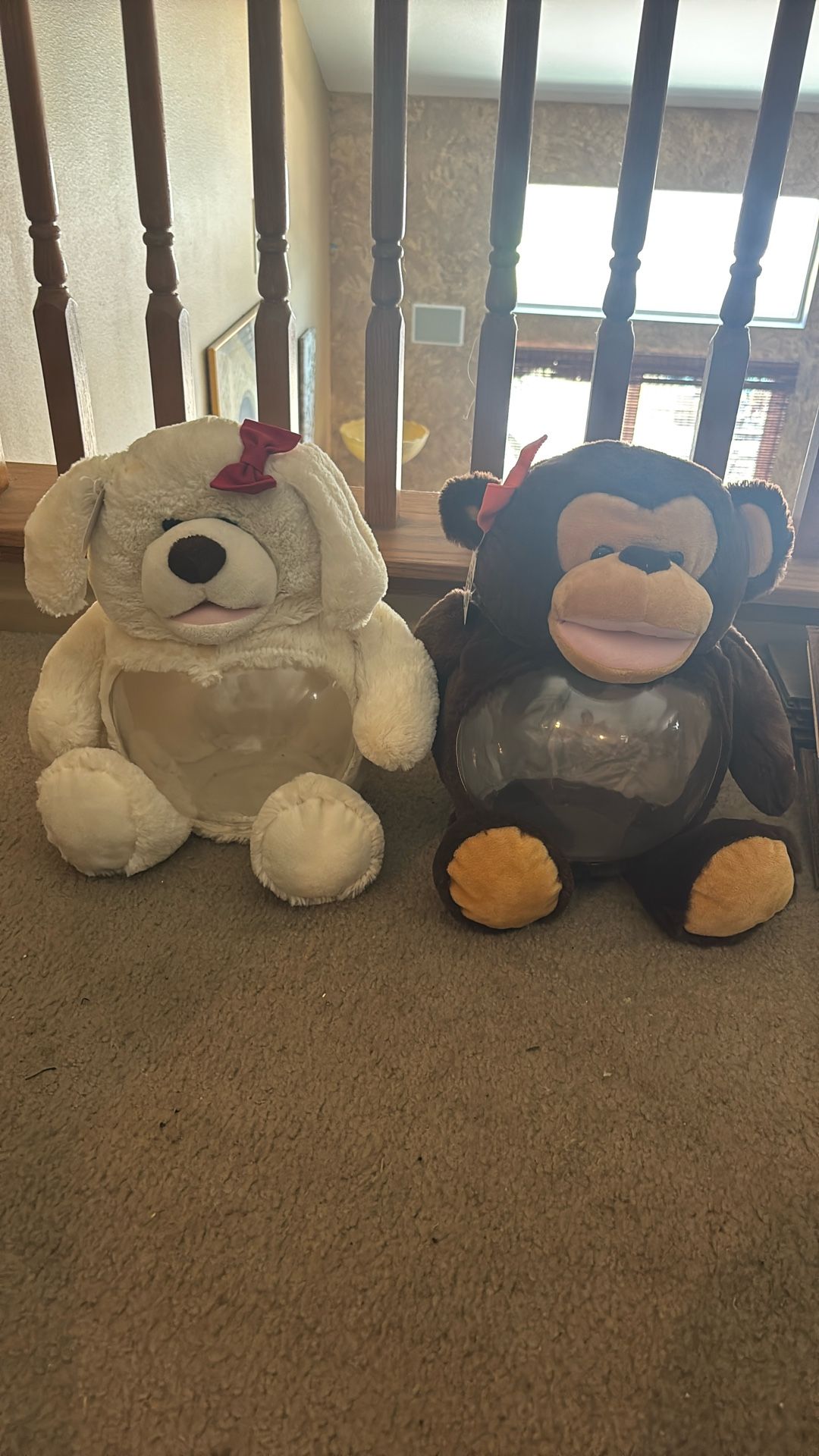 Bear Fish Tanks Or Put Candy In Them