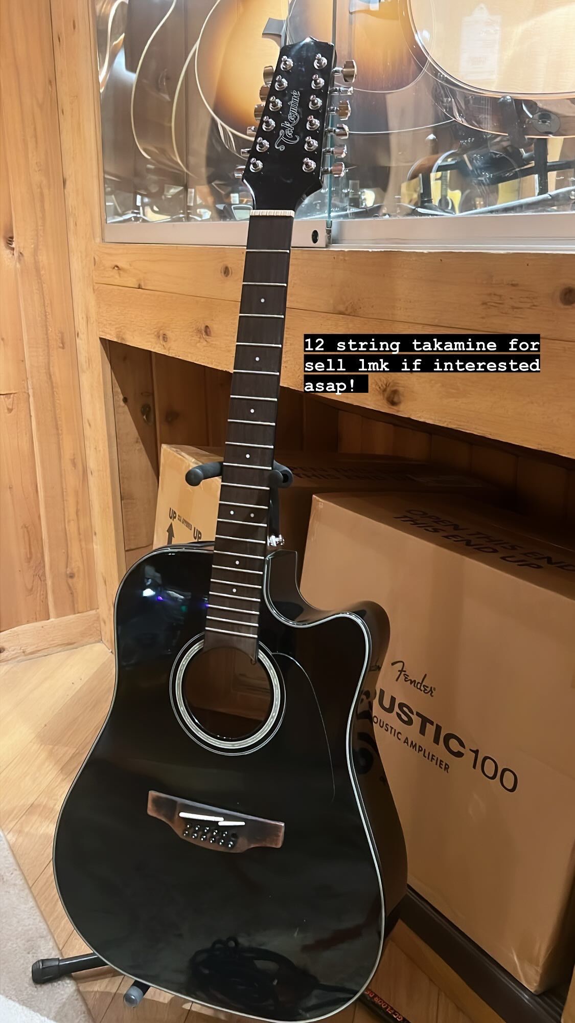 Takamine 12 Sting Guitar 