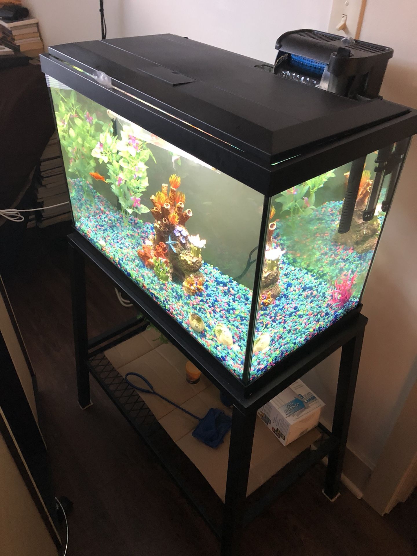 Fish tank and steel stand