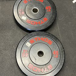 Ethos 45 Lb Weights - Bumper Plate Style