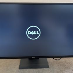 Dell 43“ 4K Monitor Ultra HD IPS P4317Q