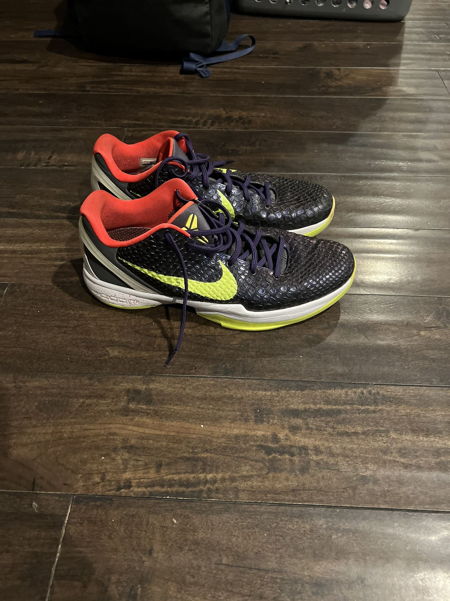 Kobe 6s
