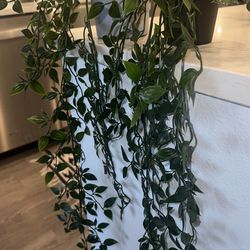 Artificial Hanging Plants