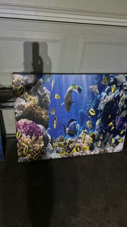 Fish canvas