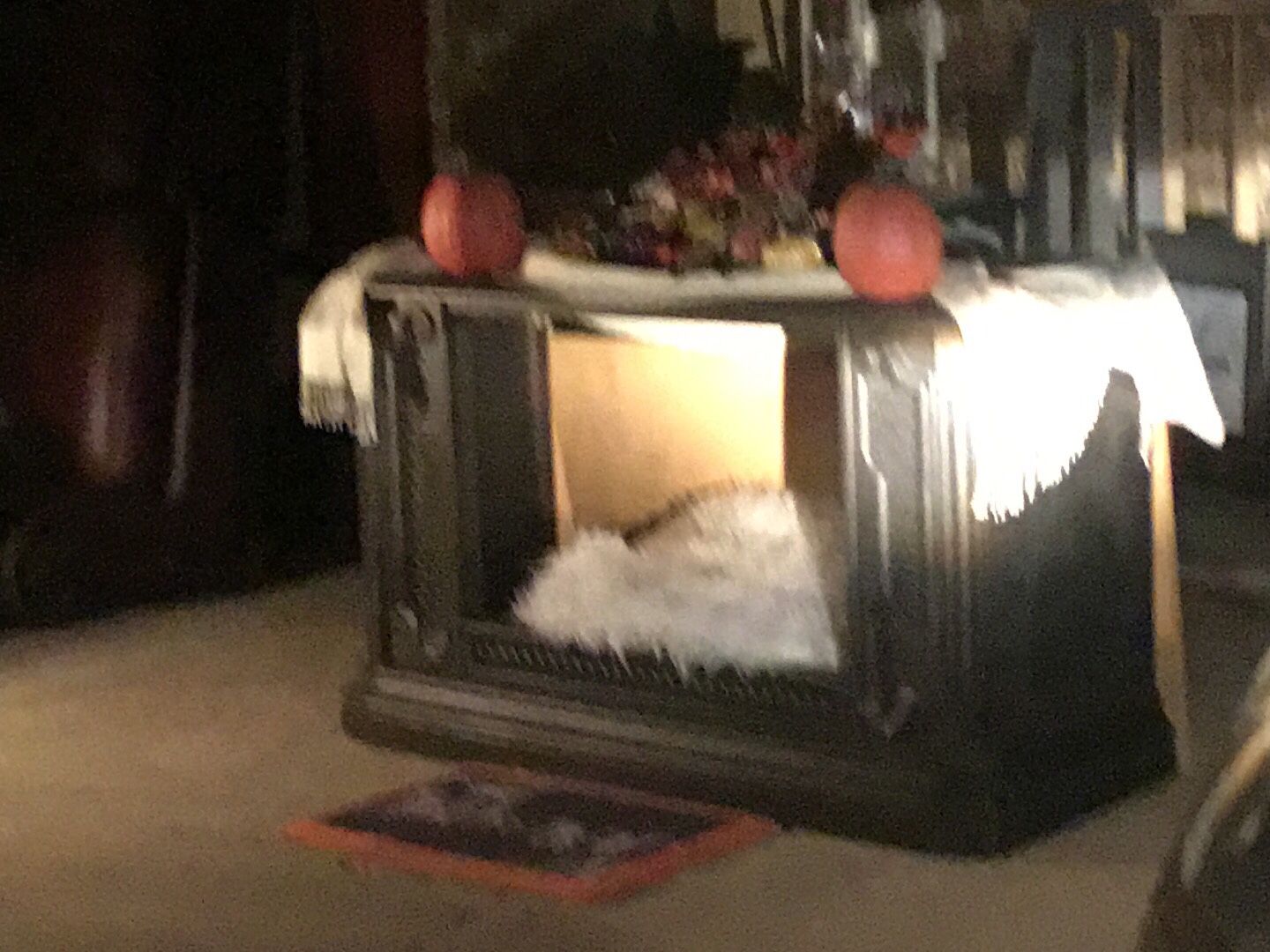 Project/pet Bed / Cage Decor ???