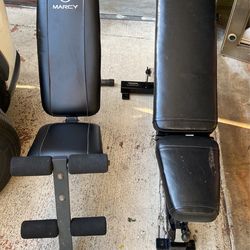 Exercise Bench