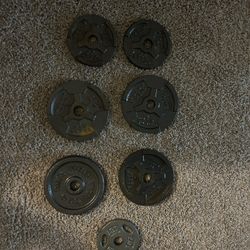 Weights 