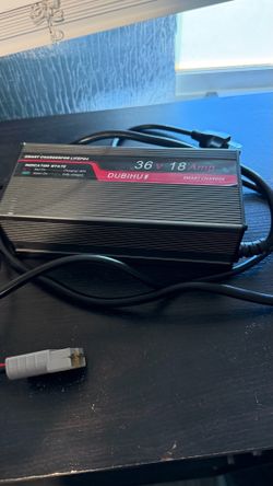 36 Volt LIFEPO4 smart charger