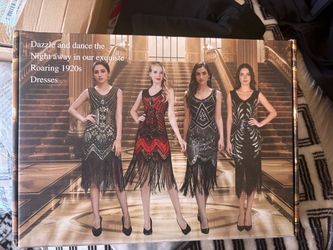 1920s costume flapper dress l/xl