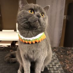 Crocheted Animal Collar
