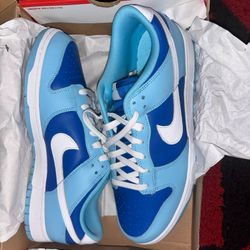 Nike Dunk Low Argon Blue White Size 11 Retro DD1391-400 Brand New 