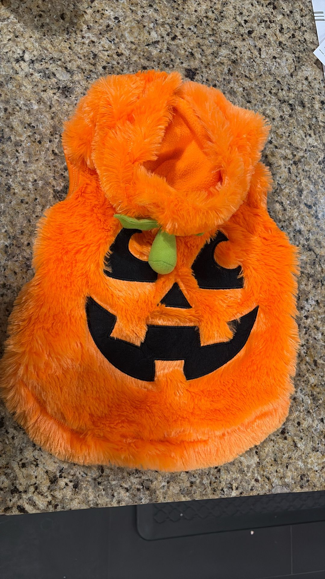 Dog Pumpkin Halloween Costume
