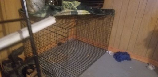 Large Dog cage with plastic insert