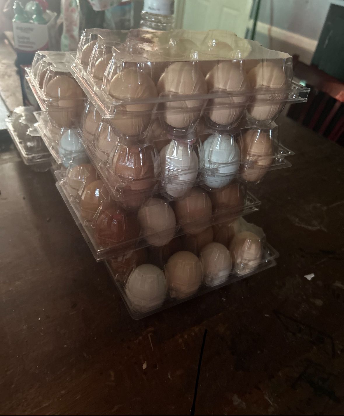 Egg/huevos