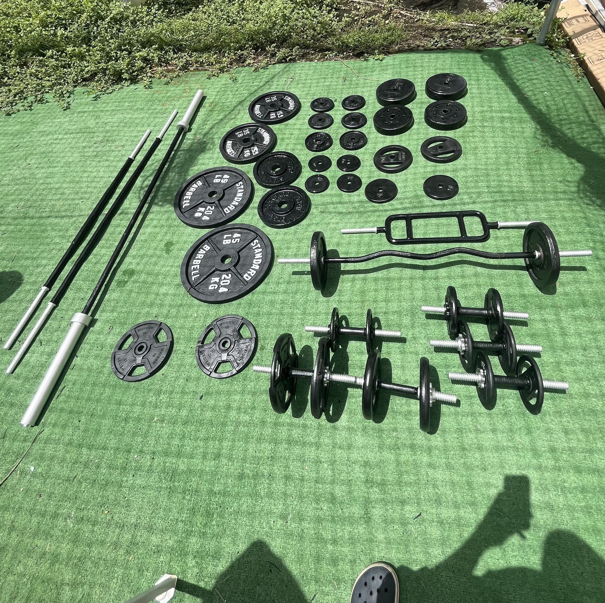 Weights Barbells And Dumbbells