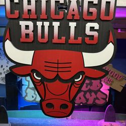 Bulls Logo 