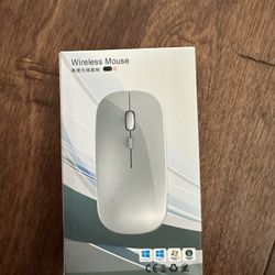 Wireless Mouse PC/Mac