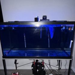 Fish Tank And Stand 