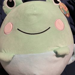 Frog Plushie