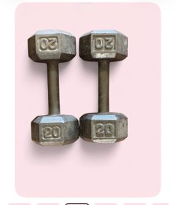 20 lb Hex Dumbbells Pair Cast Iron