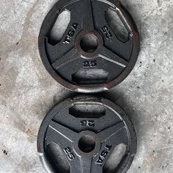 Two (2) 25 Lbs Olympic Plates (good used condition)