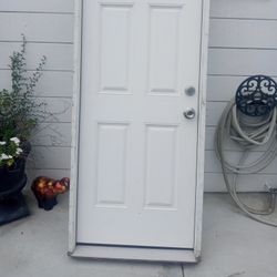 Door 30x80