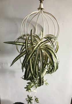 Hanging fake plant decor
