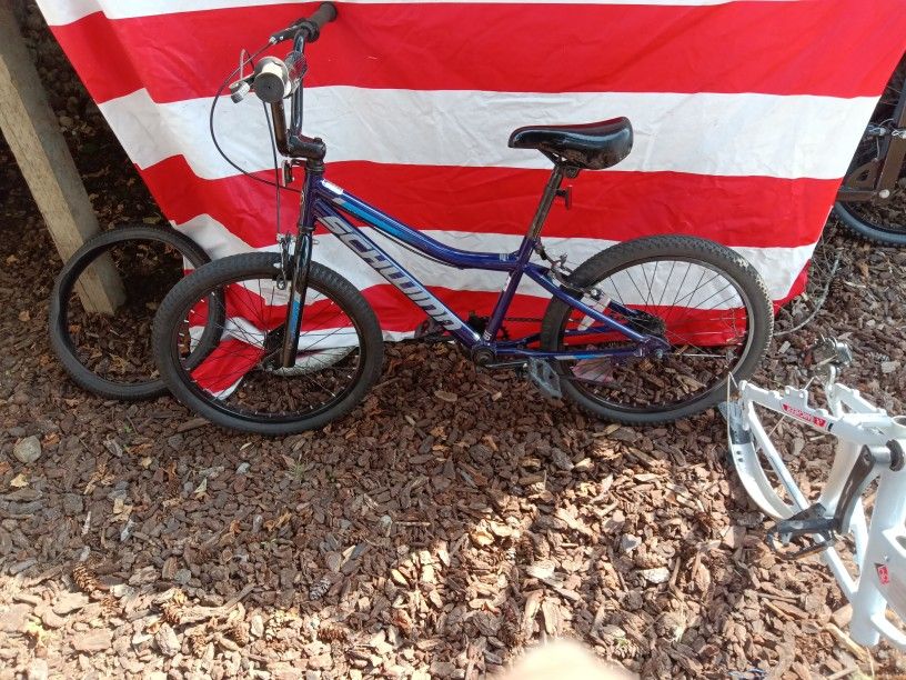 Schwinn Falcon