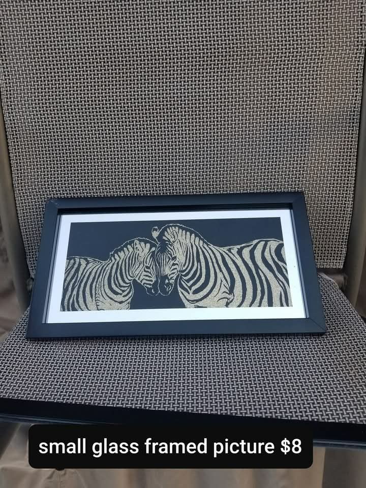 Small Zebra Picture