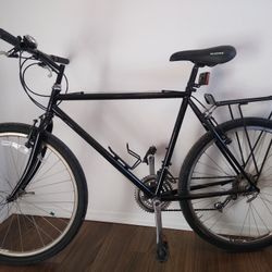 Ebony Commuter Bike
