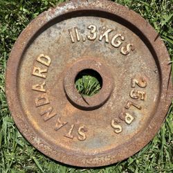 Olympic Weight 25 lb