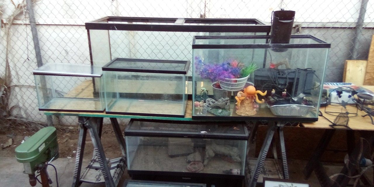 Fish Tanks