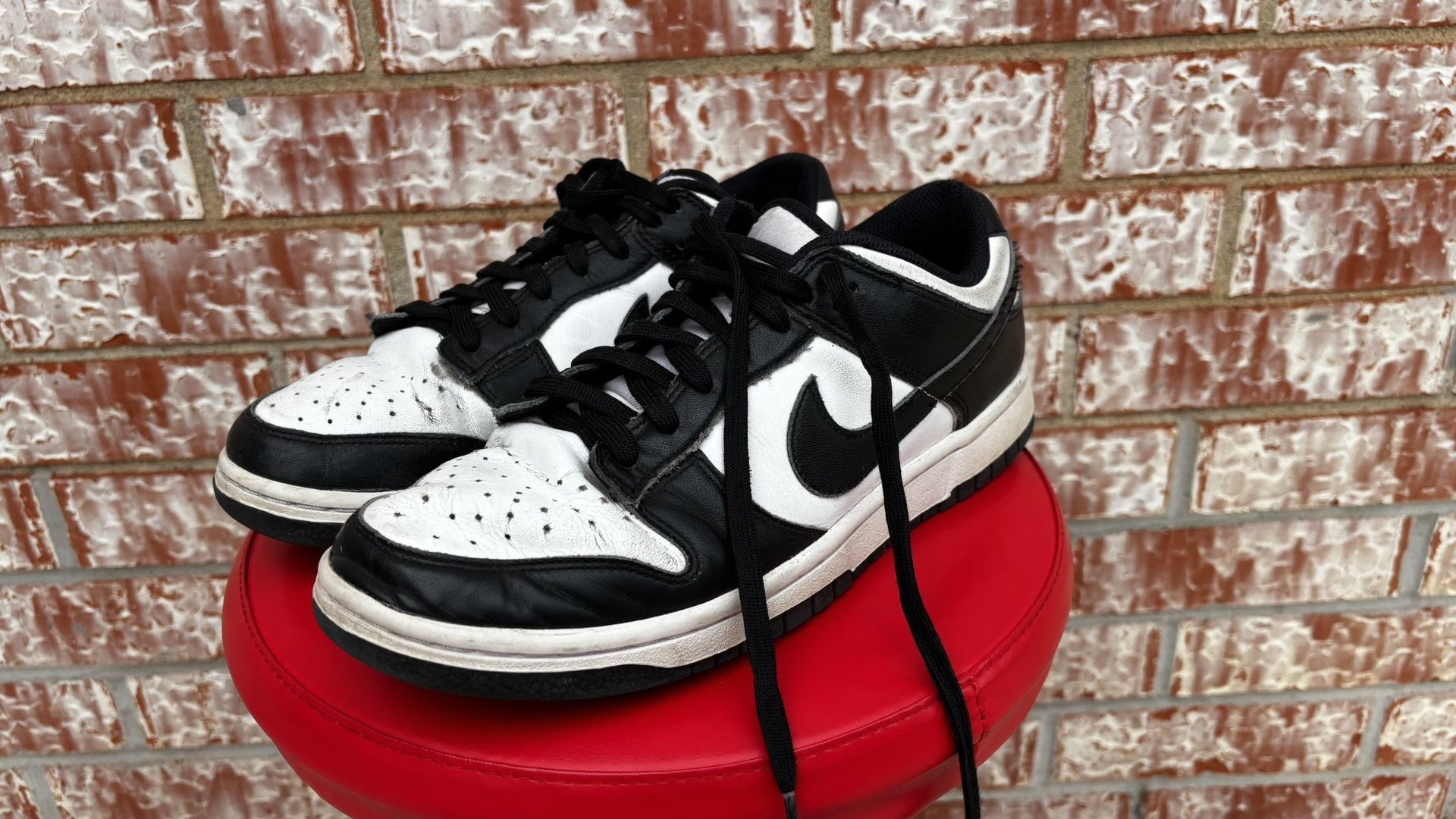 Women’s Nine Dunk Sz 10 - $25