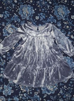 2 T Cat & Jack Dress