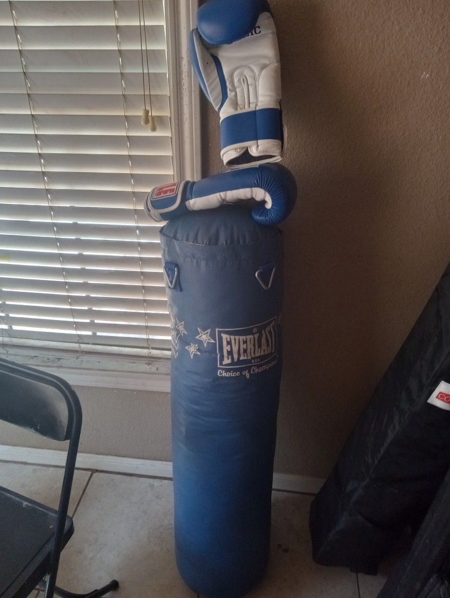 Everlast Boxing Punching Bag And  Gloves