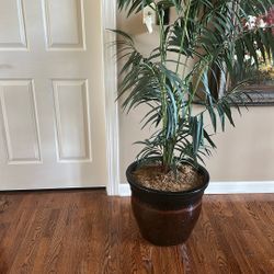 Large Artificial Plant