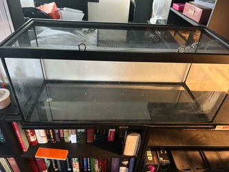 20 Gallon Terrarium